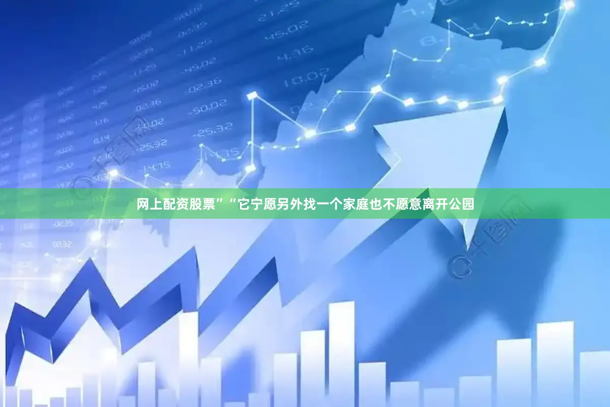 网上配资股票”“它宁愿另外找一个家庭也不愿意离开公园