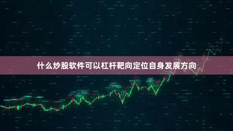 什么炒股软件可以杠杆靶向定位自身发展方向